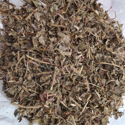 郑州金银花叶