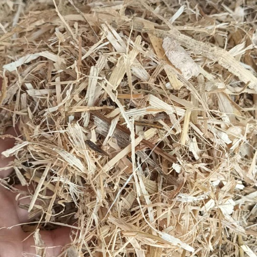 高碑店市玉米秸秆，揉丝玉米秸秆，铡段秸秆，