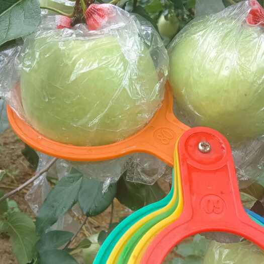 新泰市华硕苹果