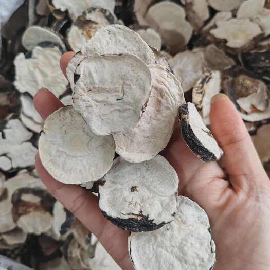 .批发玛卡片玛咖片干货玛卡500克包邮切片云南玛卡片泡水