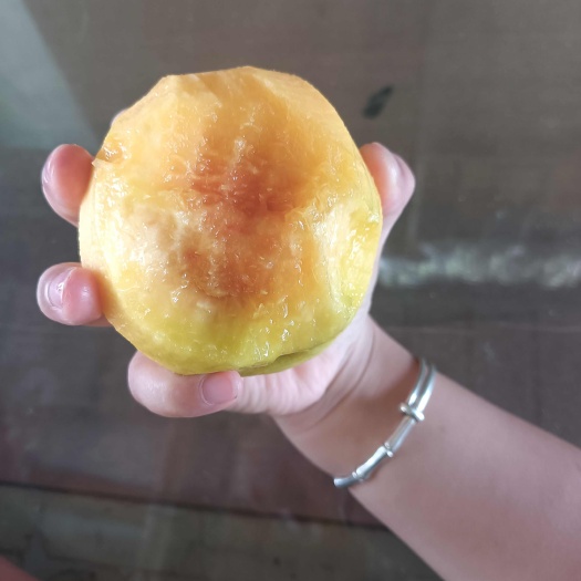 嵊州市锦绣黄桃！种在沙山上的高原黄桃