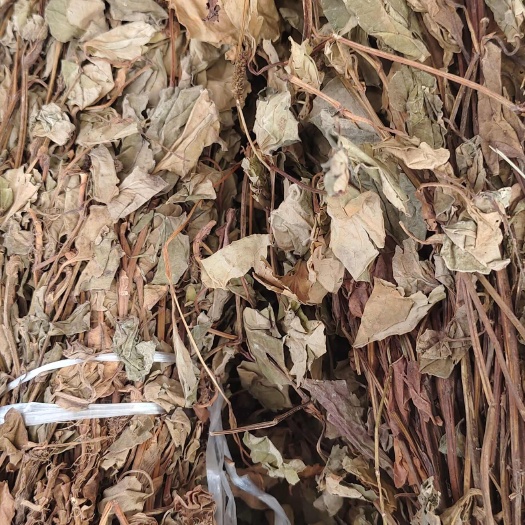 玉林鱼腥草