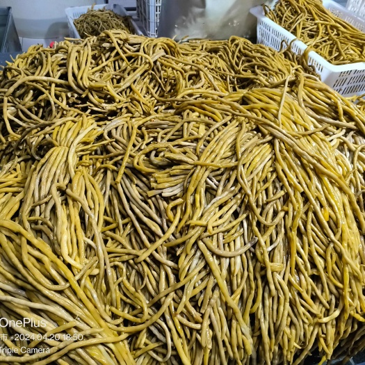 围场县泡豇豆，泡豆角，腌渍豆角，豆角