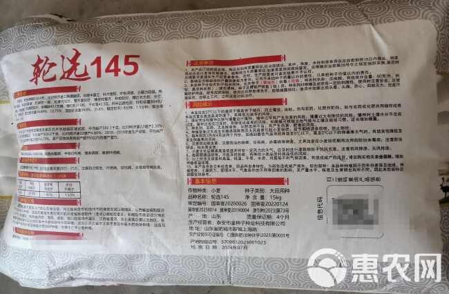 双国审小麦种子轮选145.济麦22的换代品种厂家直供量大询价