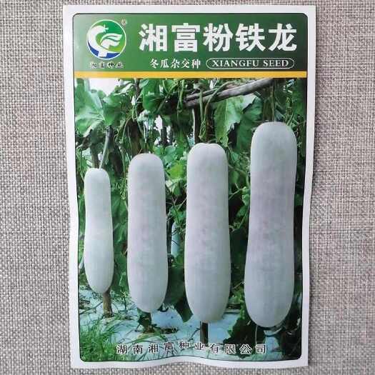 漯河湘富粉铁龙冬瓜种子 粉皮炮弹形冬瓜种子 瓜腔小 肉致密紧实