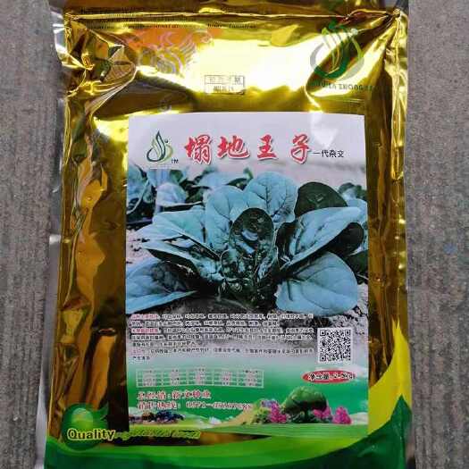 塌地王子趴地菠菜种子 5斤原装 耐寒耐抽 口感滑甜