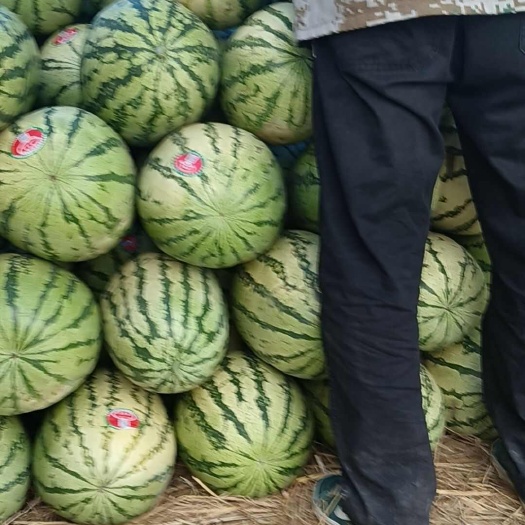 中卫宁夏硒砂瓜石头瓜皮薄肉厚