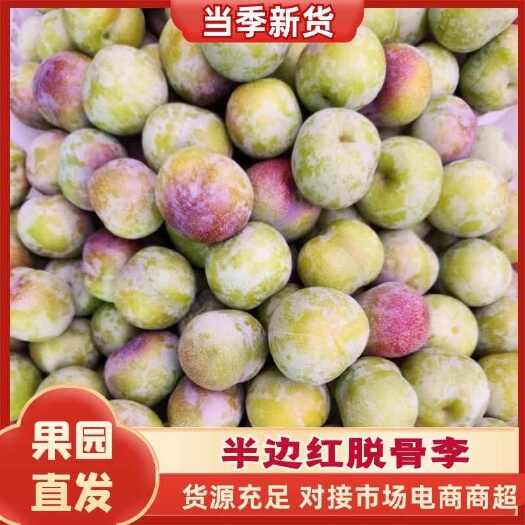 汉源县高山精品半边红脱骨李