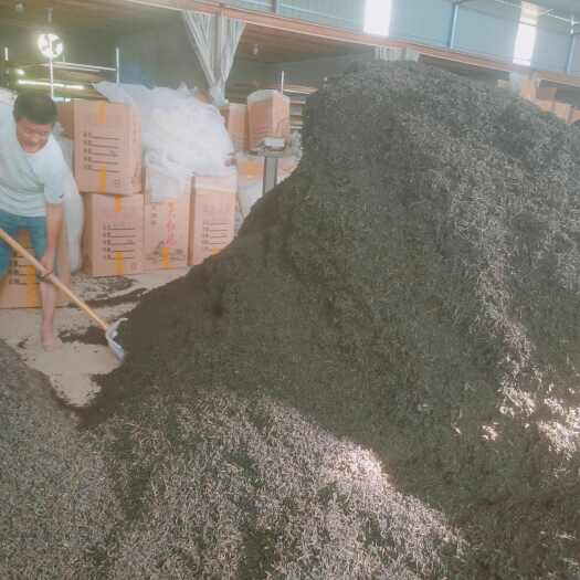 南平武夷岩茶毛茶生产厂家直销 水仙 肉桂 各类小品种