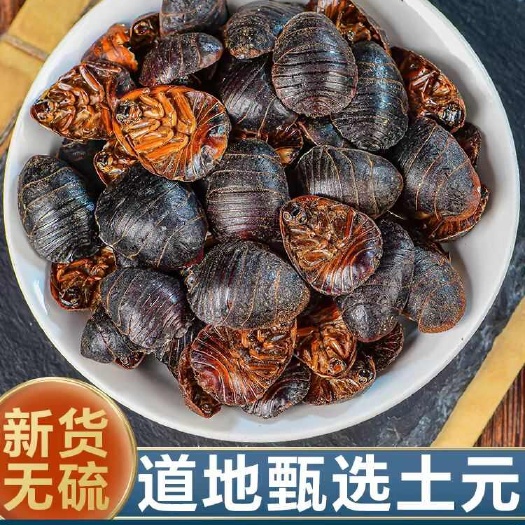 安国市无硫新货！土元！又叫土鳖虫，干货！实拍图！包邮