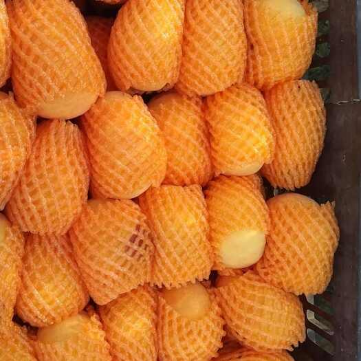 合阳县蟠桃