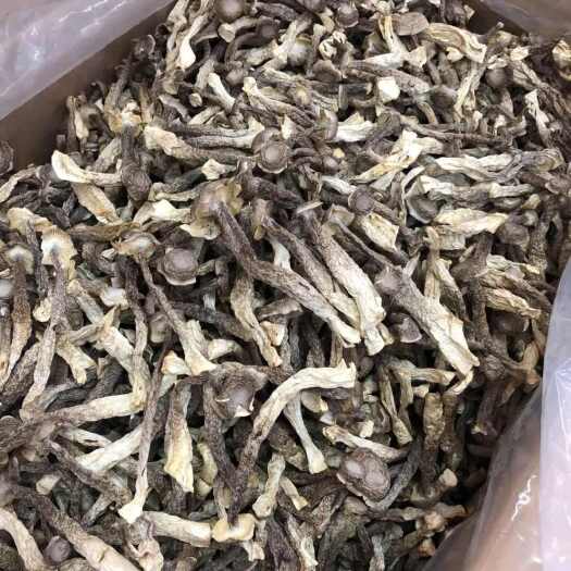 亳州鹿茸菇干货鹿茸菌500g新鲜鹿耳菇煲汤食材批发毛重非净重蘑菇