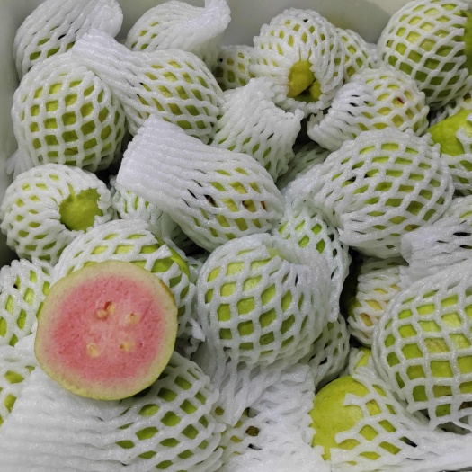 南宁红心芭乐，番石榴一件代发