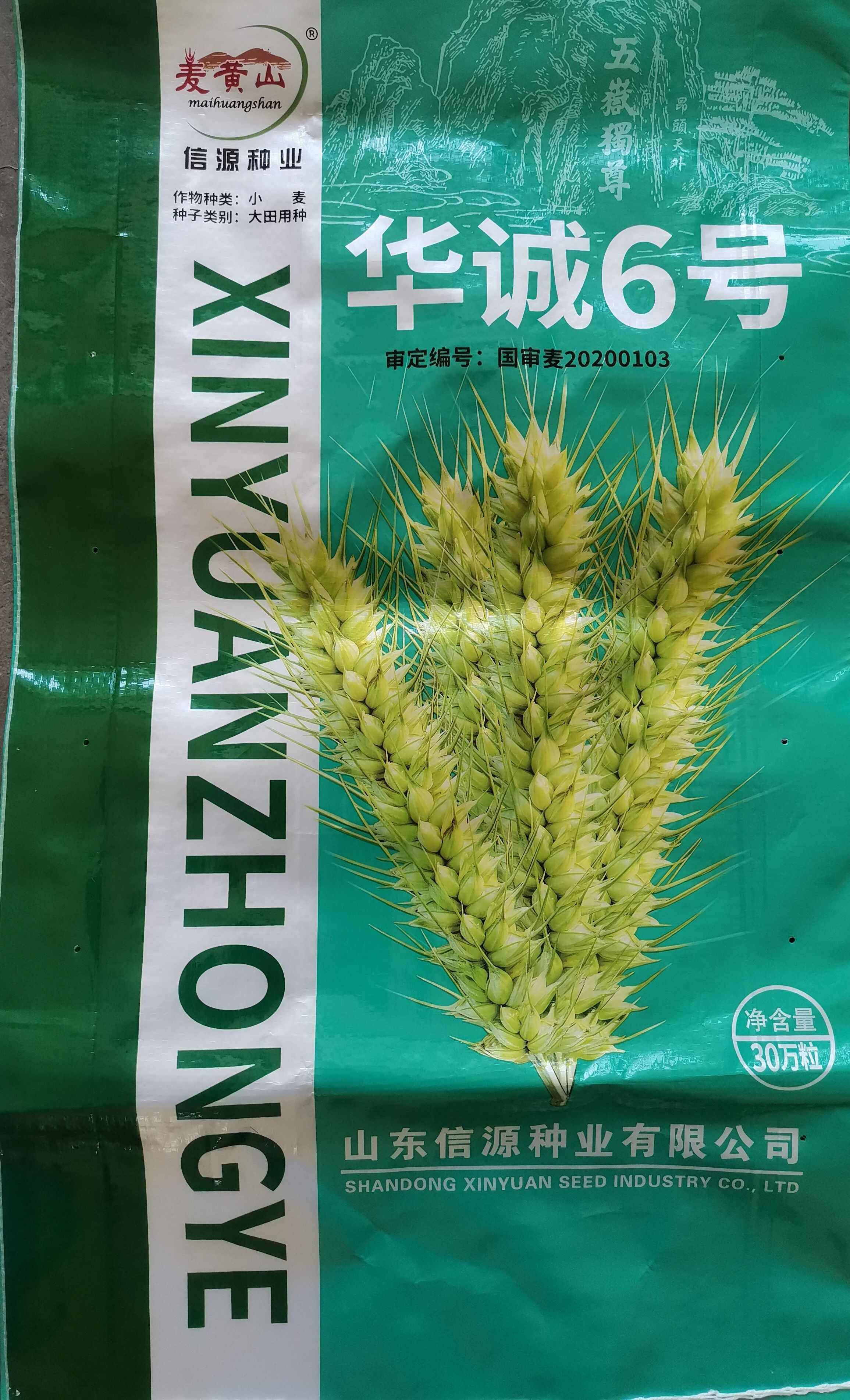 国审小麦种子华诚6号矮秆大穗产量高抗寒能力强山东厂家直供