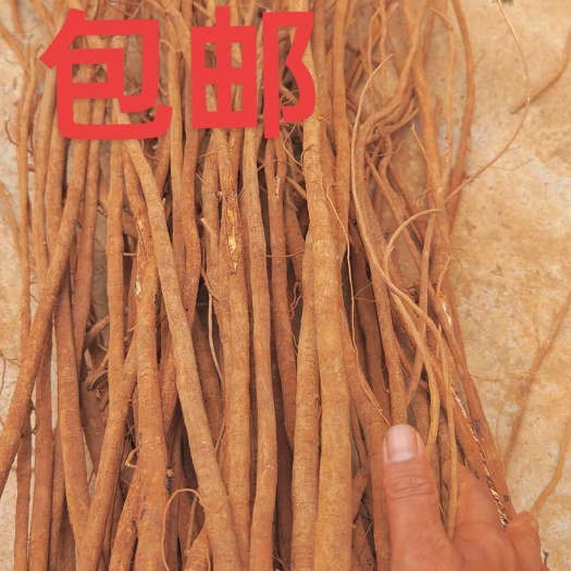 全州县小叶红皮千斤拔干货，吊马桩