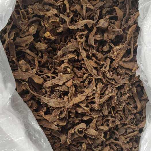 崇阳县骨碎补