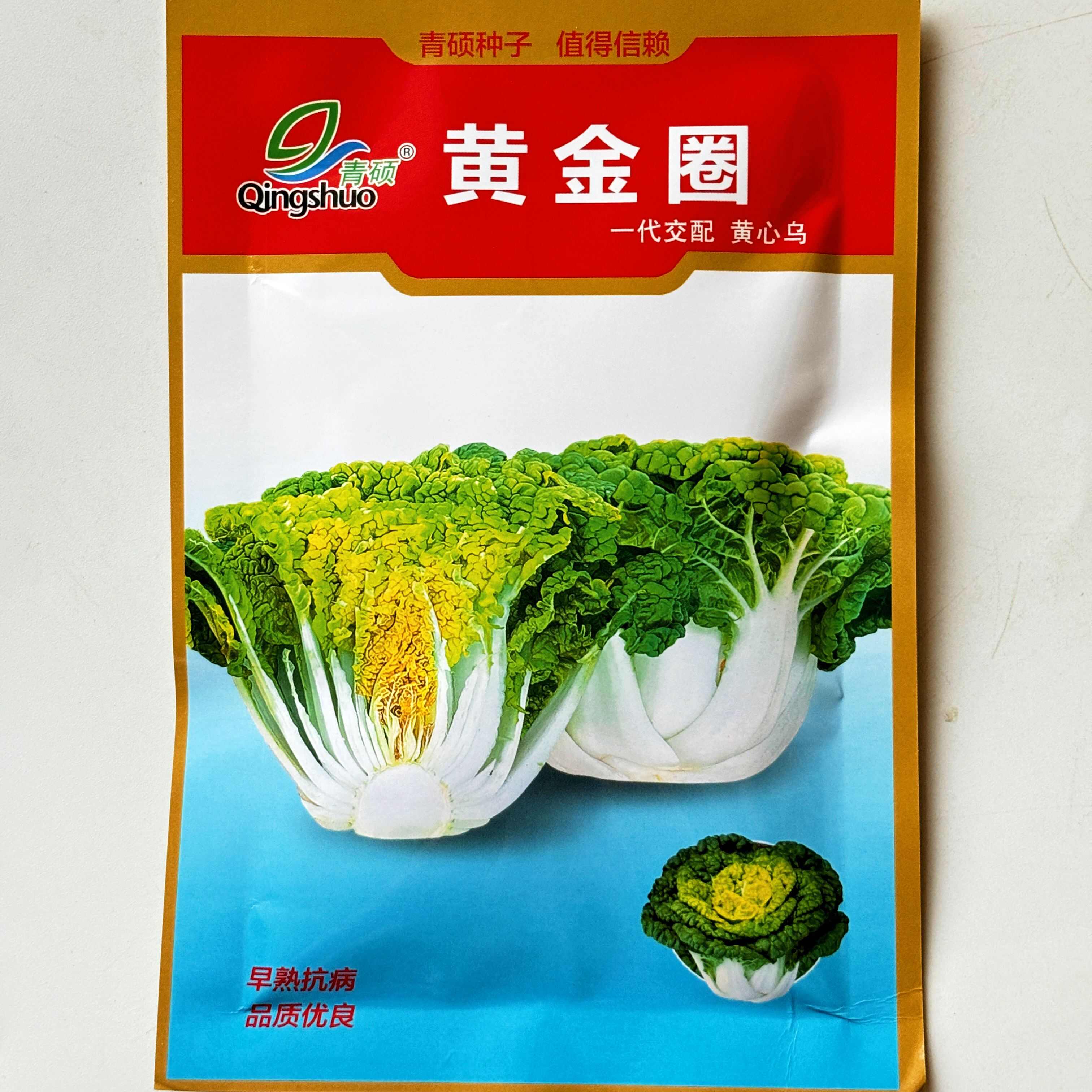 瑞雪F1黄心乌塌菜种子养心菜菊花菜高钙耐寒四季播种蔬菜种
