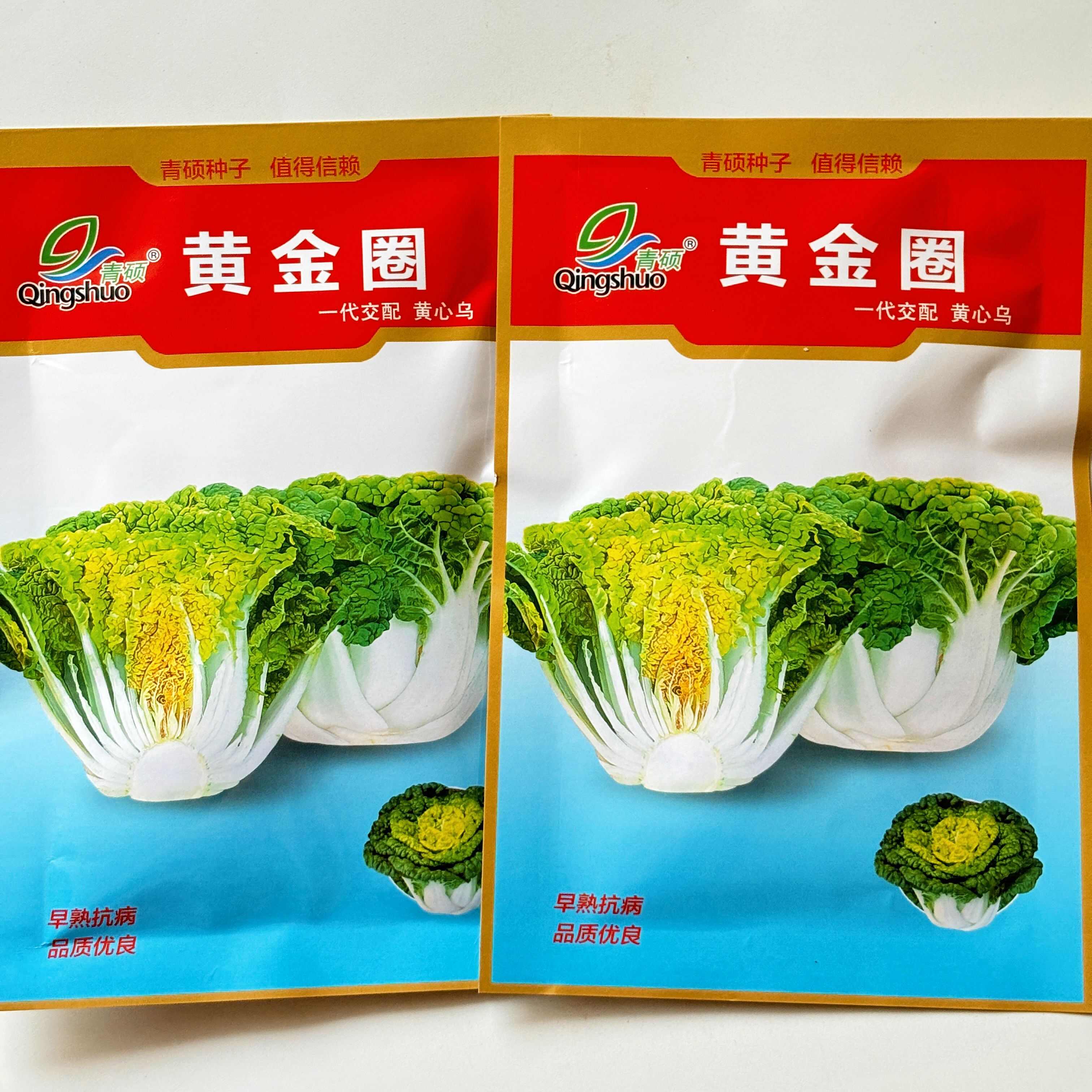 瑞雪F1黄心乌塌菜种子养心菜菊花菜高钙耐寒四季播种蔬菜种
