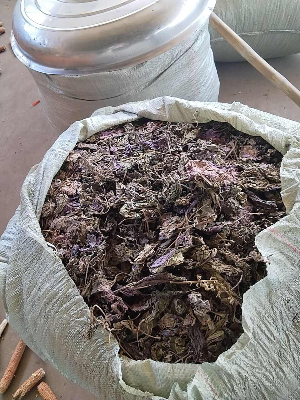 干紫苏