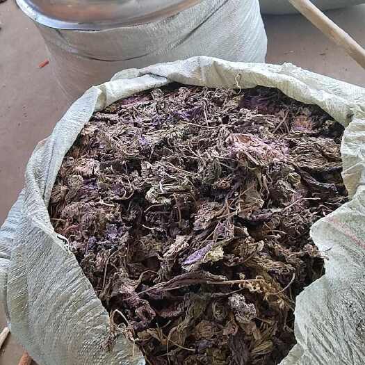 重庆市干紫苏