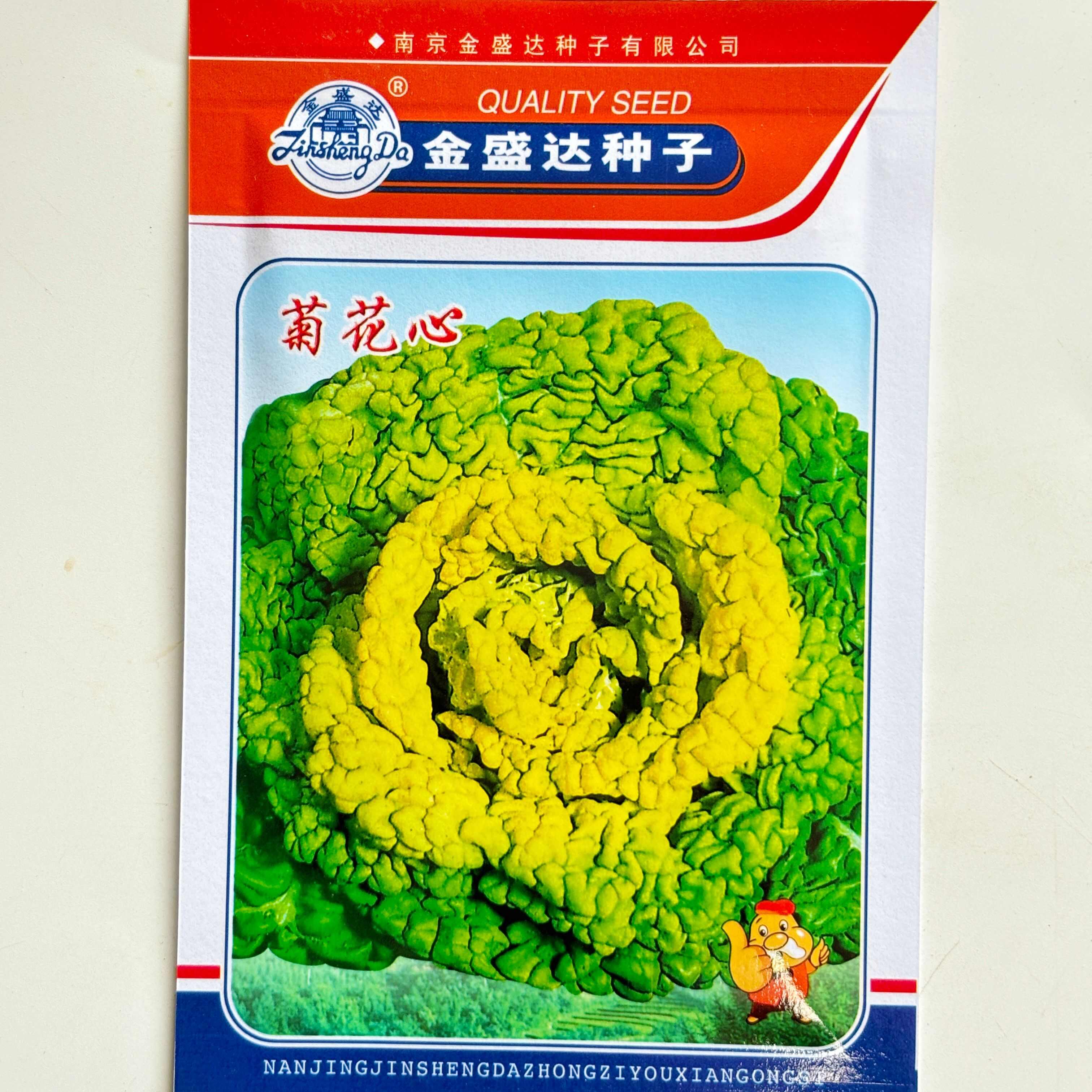 瑞雪F1黄心乌塌菜种子养心菜菊花菜高钙耐寒四季播种蔬菜种