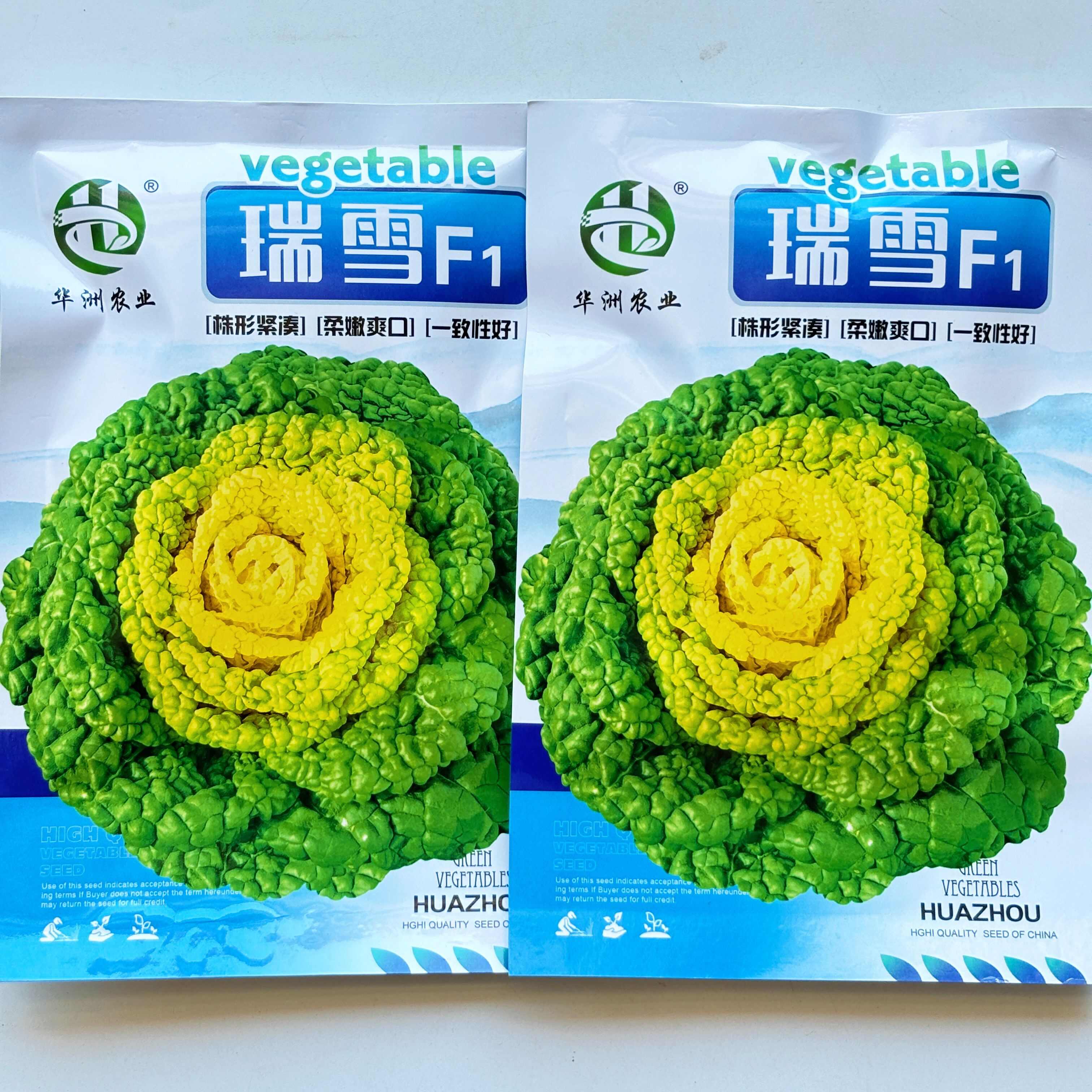 瑞雪F1黄心乌塌菜种子养心菜菊花菜高钙耐寒四季播种蔬菜种