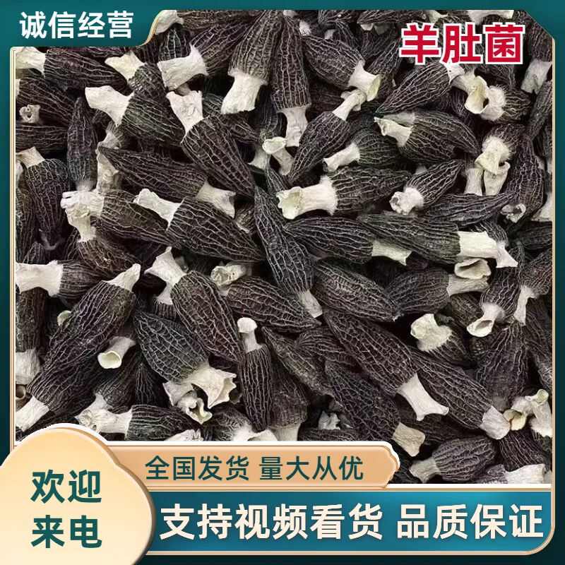 精品头茬肉厚原干剪柄羊肚菌产地批发一斤包邮