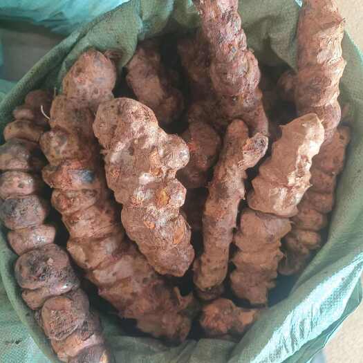 江门新鲜甘甜靓云南白肉土茯苓产地直销中货，大货土茯苓