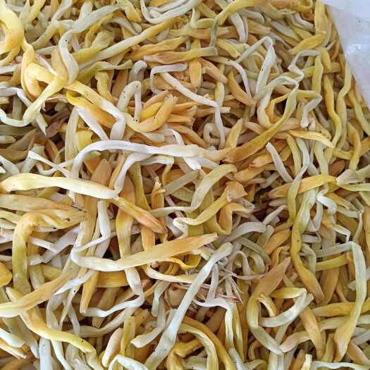 祁东县黄花菜