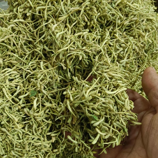 成都金银花
