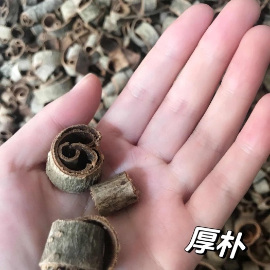 洋县厚朴