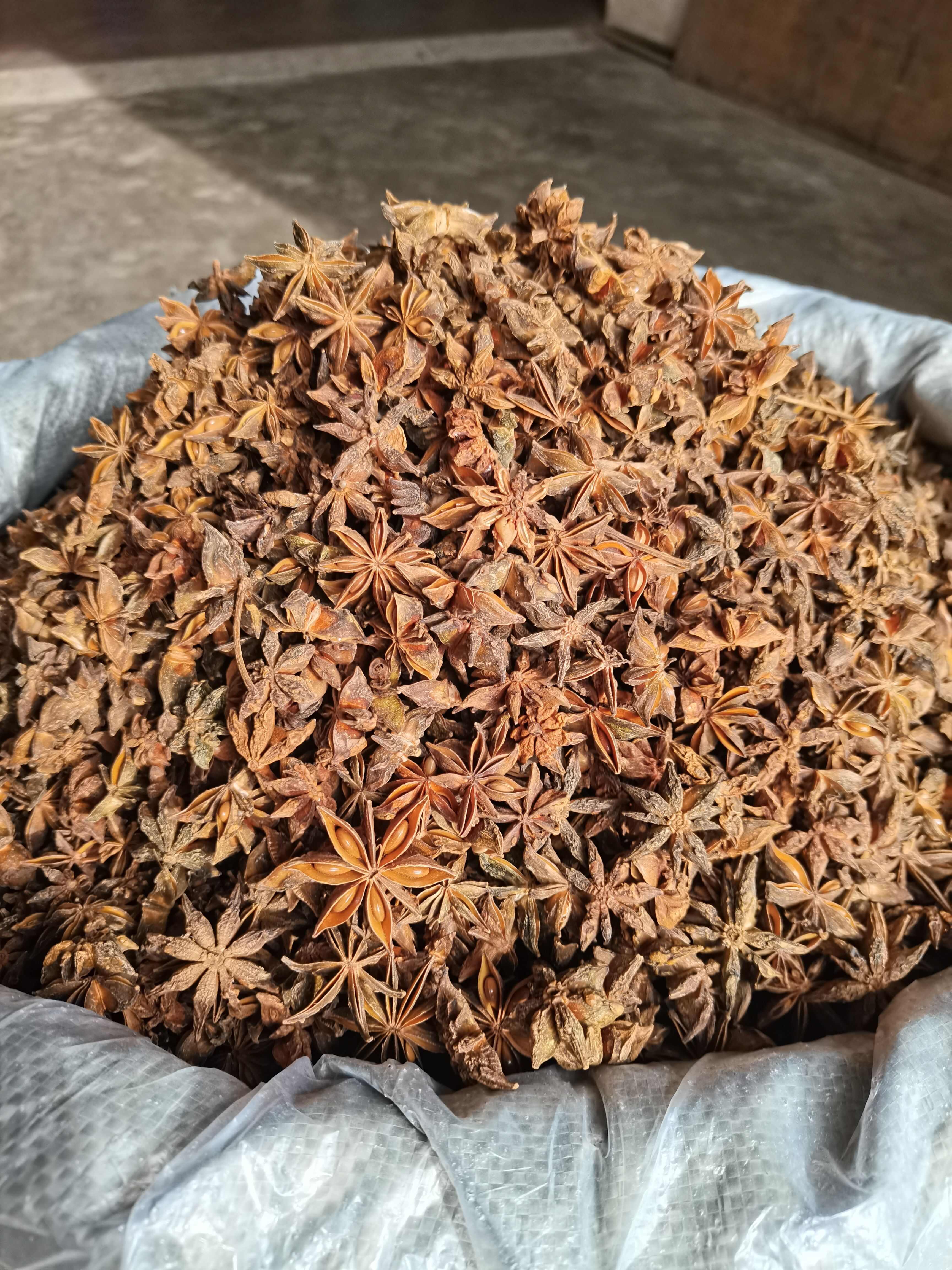 八角/春花八角/香味浓郁/足干无硫/过筛去把/精选好货/无籽