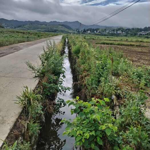 瓮安县荒地
