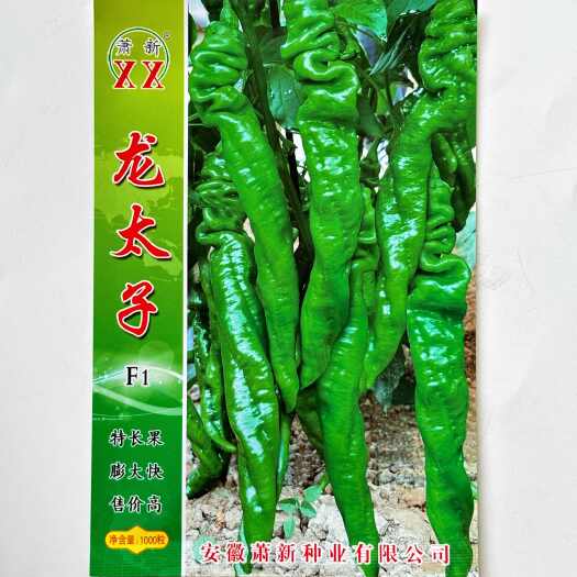 萧新龙太子螺丝椒种子辣椒种子罗丝椒杂交薄皮香辣特大蔬菜种籽