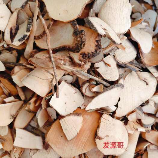 玉林广西中药材萝芙木 罗芙木 鱼胆木 山马蹄 新货统货