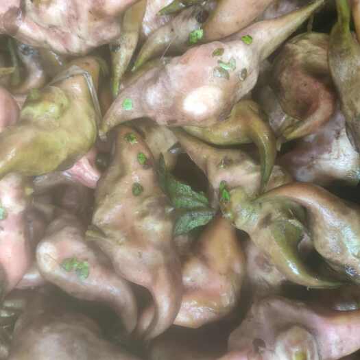 淮南八成老菱角