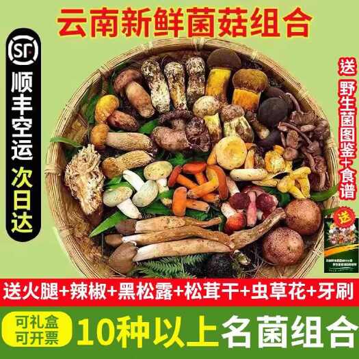 昆明云南野生菌 鲜菌组合。每盒10以上品种，支持一件代发。。。