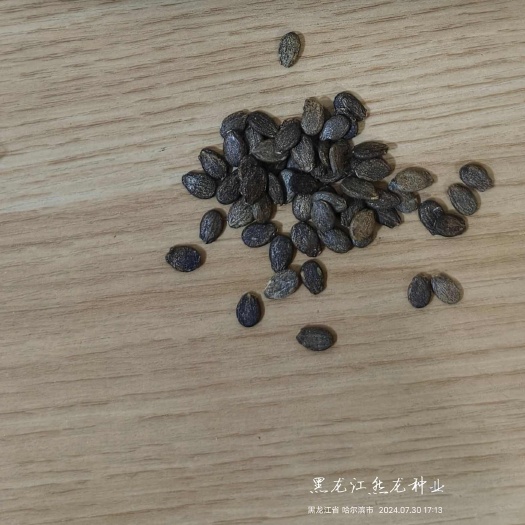 哈尔滨一品鸿帅西瓜种子约100粒/袋