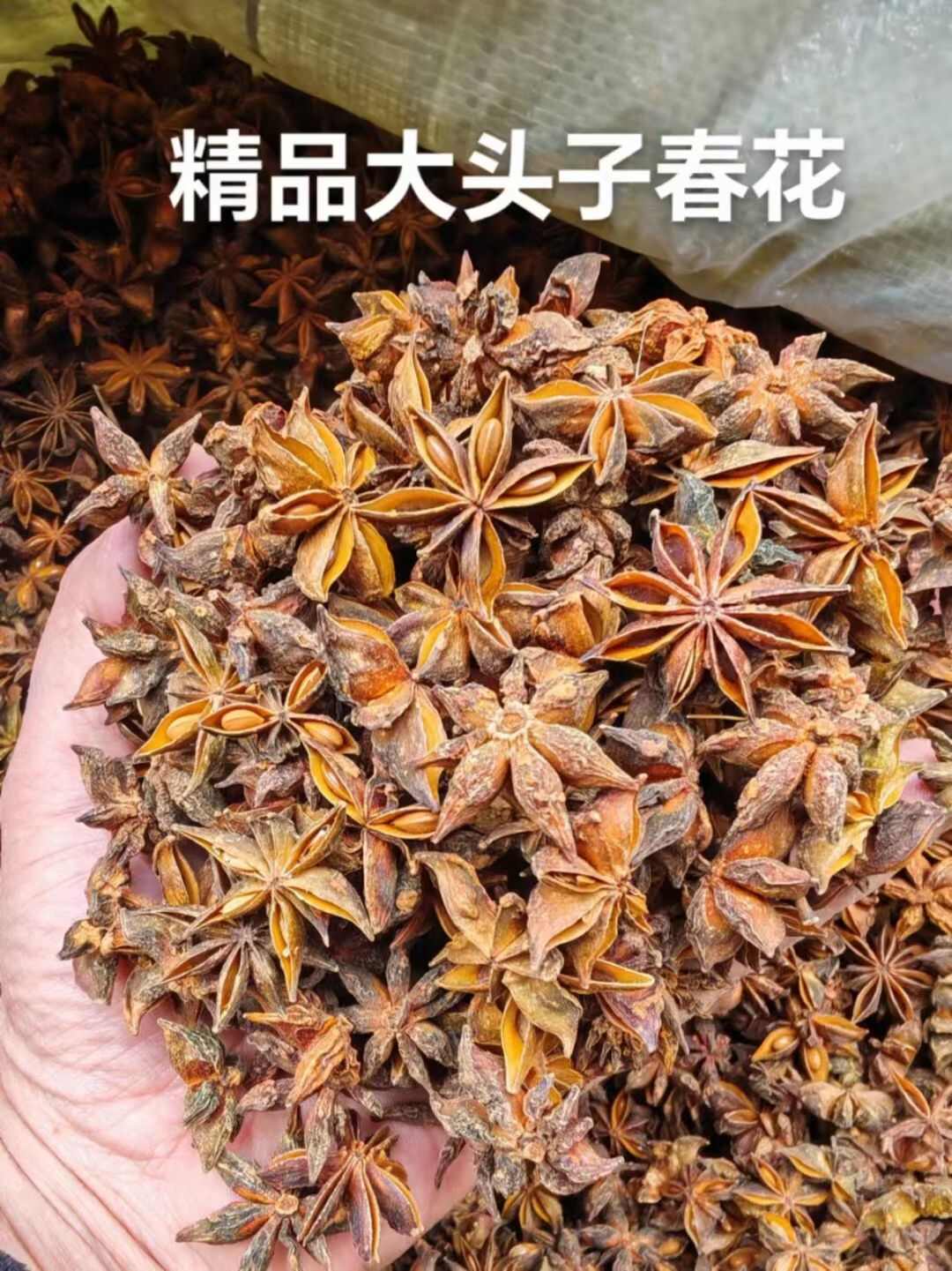 八角/春花八角/香味浓郁/足干无硫/过筛去把/精选好货/无籽