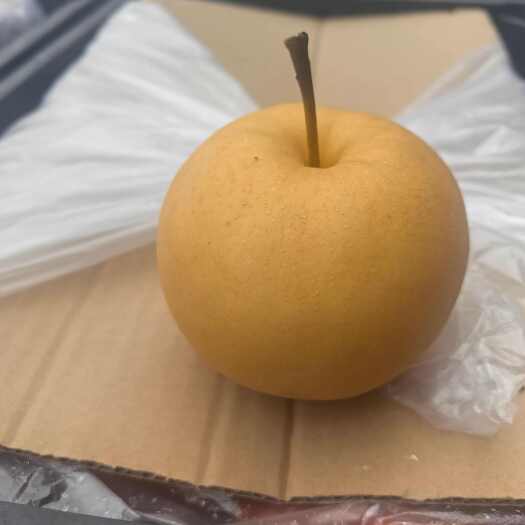砀山县秋月梨