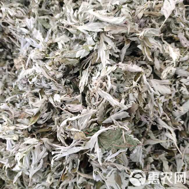 艾 大叶艾草 高山艾草 纯叶杆少 产地直发