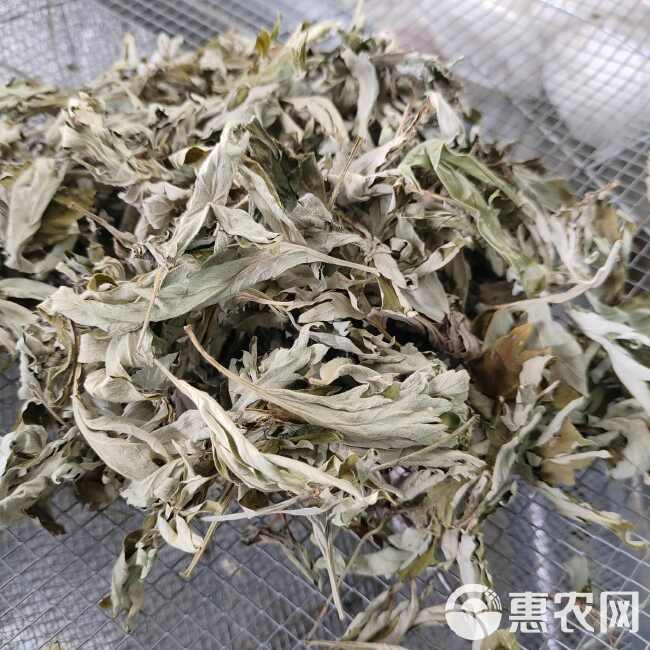 艾 大叶艾草 高山艾草 纯叶杆少 产地直发