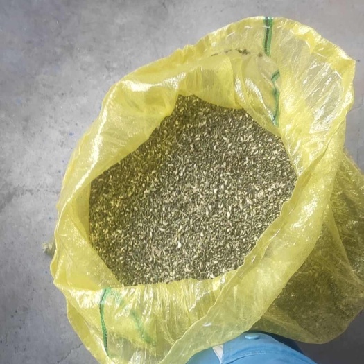 广饶县槐米