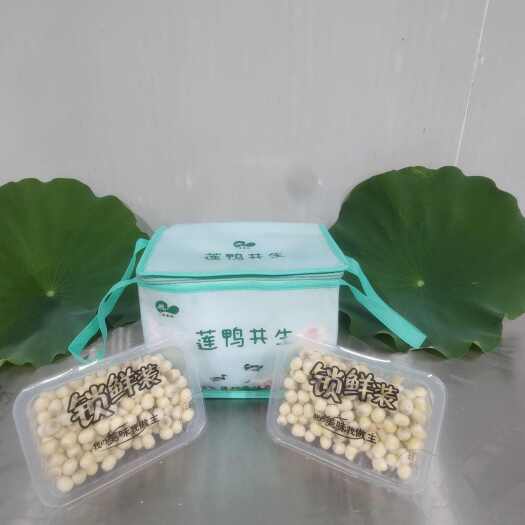 丽水新鲜处州白莲子