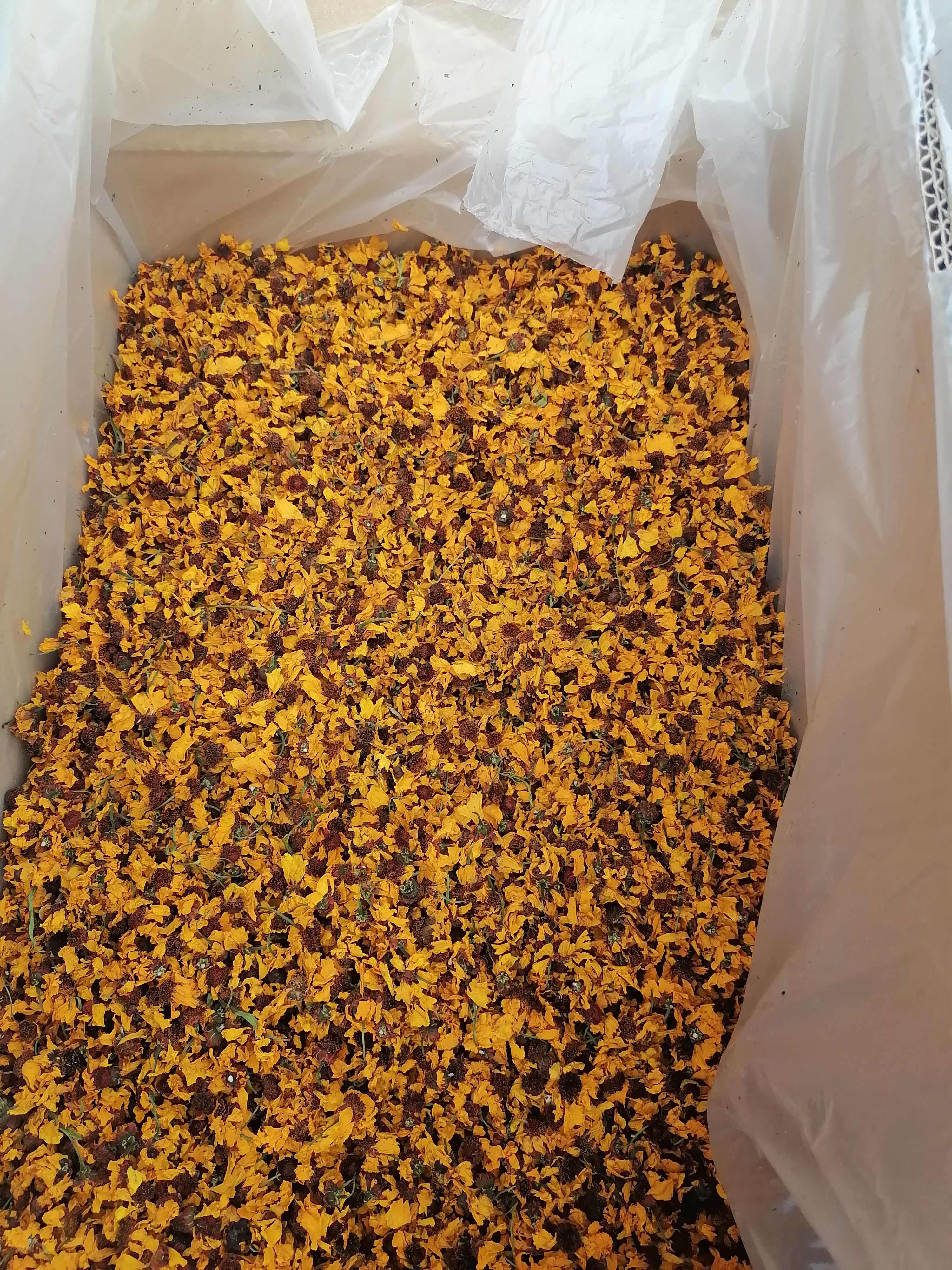 雪菊新疆特产菊花泡茶泡水料今年新货批发