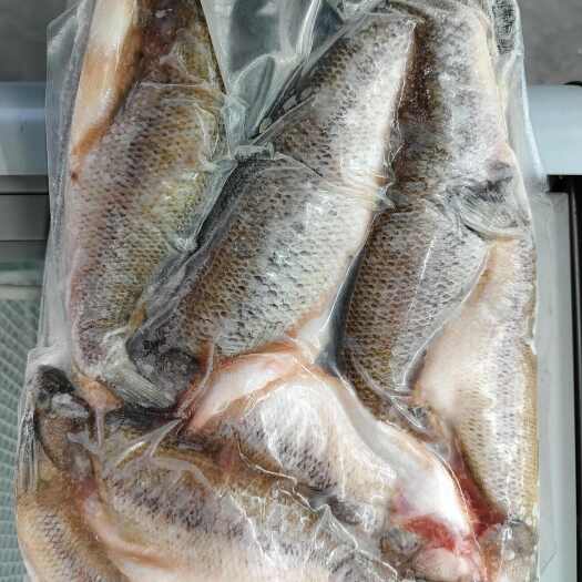 中牟县三去鲈鱼，规格齐全，价格便宜，餐饮批发，食堂批发