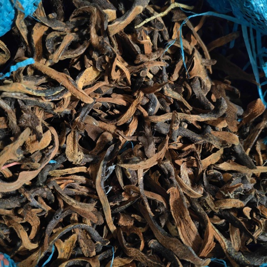 骨碎补采自深山老林骨碎补自然晒干无硫，自然干度高，干度足。