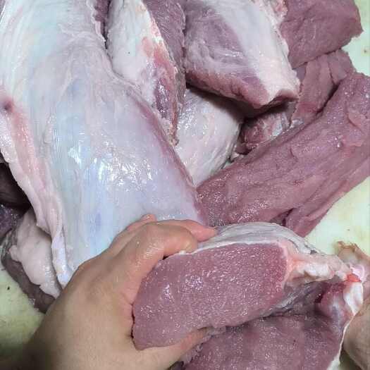 深圳肥猪三号肉