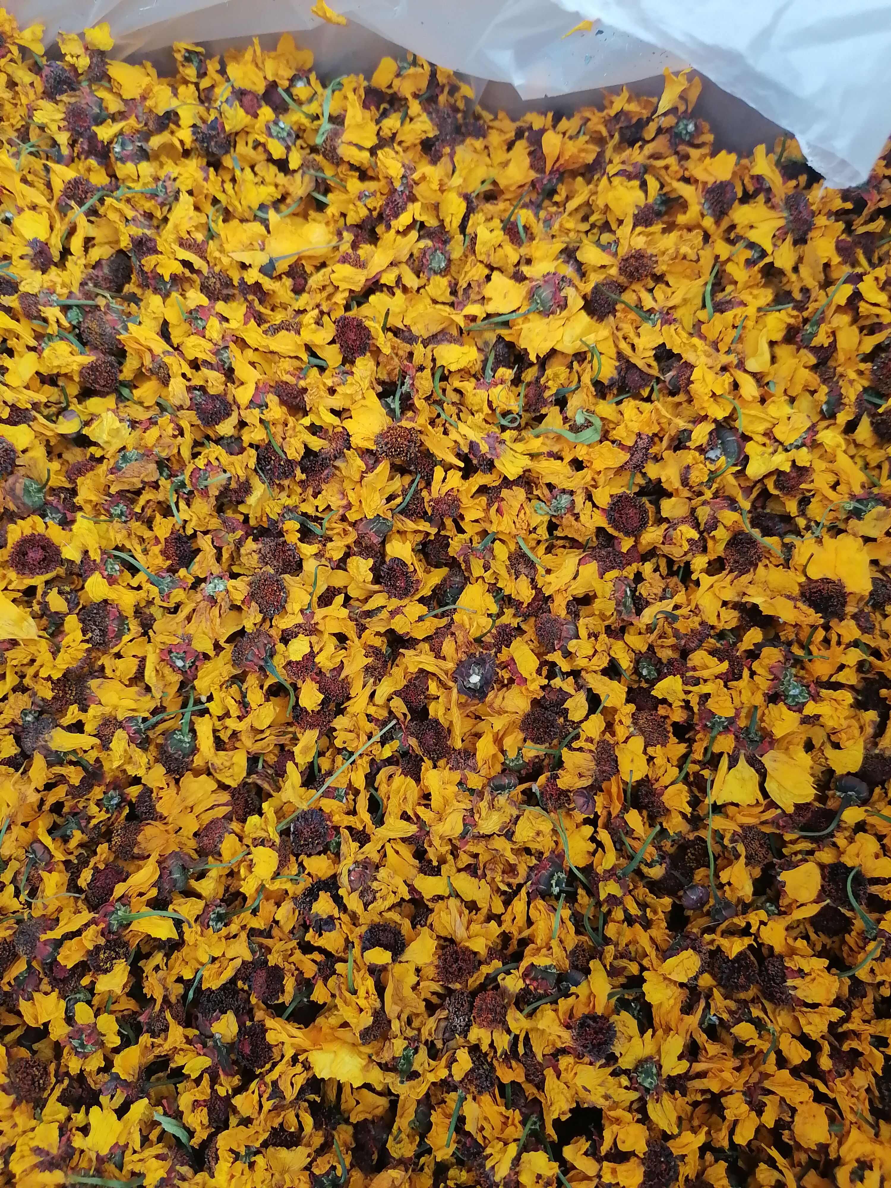 雪菊新疆特产菊花泡茶泡水料今年新货批发