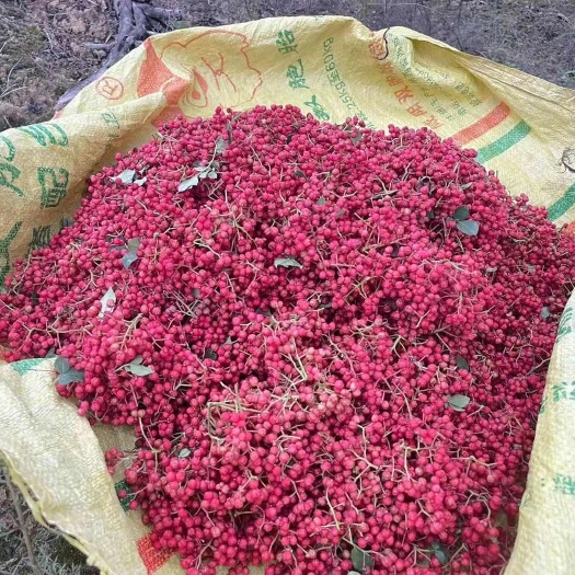 秦安县大红袍花椒